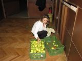 Príprava jabåk na stoly p. Ria Máczová